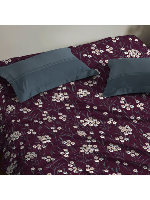Trident Moments Backyard Maroon 120 TC Cotton Double Bed Bedsheet With 2 Pillow Covers